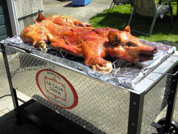 Caja China SP-300DP PLATA · 50Kg.
